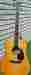 D-10 Larriv E Larrivee Acoustic Electric Guitar