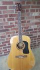 D-10-s Washburn Acoustic Guitars Dreadnought