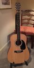 D-1gt Martin G-series Acoustic Guit Hardshell