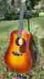 D18v Martin Sunburst