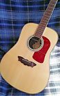 D200swm Washburn Stunning All Solid Woods Acoustic Guitar Case