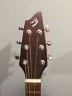 D20e Breedlove Passport Fs Acoustic Elec Guitar Vics Boutique Pickup Case