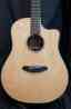 Prd22ce D22ce Dreadnought Breedlove Cw Acoustic Premier Guitar Rosewood Electric
