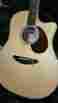 D25 Sre Breedlove Acustic Electric Stage New With Original Case Included