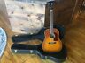 D25sts Washburn Acoustic Dreadnought Guitar With Pickup And Hardshell Case