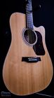 D550ce Walden Acoustic-electric Guitar W-gig
