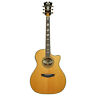 Daeg200vnatgp Guitars Dangelico Guitar Excel Gramercy Acoustic Electric Vintage 680196089845