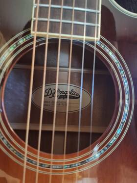 Dangelico Dasc10sbrg Dftangelico Premier Acoustic-electric Guitar Brown Cutaway 6-string