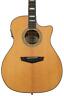 Dapg200vnataps Dangelico Premier Gramercy Vintage Natural 680196090582