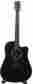 Dcpa5 Dcpa5black Black Martin Dreadnought Acoustic Electric Guitar Finish 729789417334