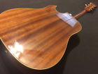 Dean Zelinsky Gorgeous Private Label Dz Paloma Eq Acoustic Electric