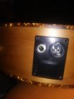 1900 Desde Giannini Acoustic Electric