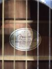 Ec1001728 Dg-11e Black Fender Electric-acoustic Guitar