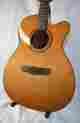 Dg-15spomces Diana Merida Extrema Acoustic Electric