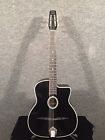 Q-237-b Dg-330 Gitane Lot John Jorgenson Acoustic Guitar