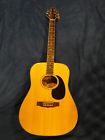Dg18n Dg18 N Dixon Guitar Rare Model Near Mint Condition