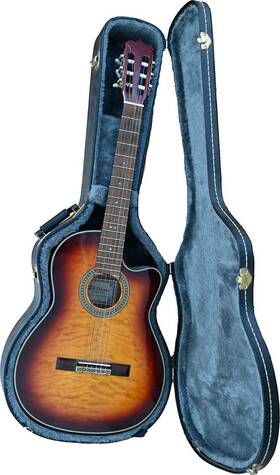 Dcg-20ceo-dhc Dillion Electric Guitar Acoustic S/n