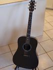Dr1000n1 Dn1000 Rainsong All Carbon Acoustic Guitar Shark Inlays Case