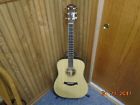 510e Dn5e Taylor Guitar