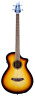 Dscn44bcessam Breedlove Eco Discovery Concert Edgeburst Ce Acoustic Electric 850014868956