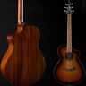 Dscn44cercam Breedlove Discovery Concert Edgeburst Ce 850014868888