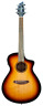Dscn44cessam Breedlove Eco Discovery Concert Edgeburst Ce Cedar Top 850014868871