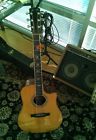 Dv-10e Larriv Larrivee Acoustic Electric Guitar Dv