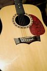 Dw-1 Peavey Acoustic Electric String Dreadnaught Guitar