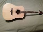 Dw-2 Peavey Acoustic Electric Guitar