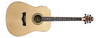 Dw-3 Peavey Acoustic Electric Guitar With Hard Shell Case