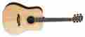 Dym70e Yairi Masterworks Alvarez New 2016 With L.r Baggs Electronics Case