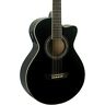 Ea10b-a Washburn Festival Jumbo Guitar 801128284859
