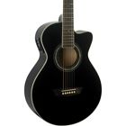 Ea12b-a Washburn Festival Guitar 801128676982