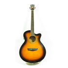 Ea15-atb Washburn Guitar Rh