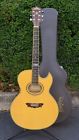 Ea2000-am Washburn Millenium Acoustic Electric