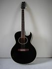 Ea20b Washburn Festival Series Guitar Circa With Case