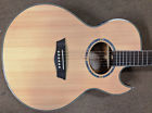 Ea20s-nb Washburn Nuno Bettencourt Guitar Solid Sitka Spruce 801128023274