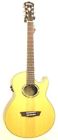 Ea25snb Washburn Model Nuno Signature Acoustic Electric Guitar New 801128030425