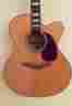 Ef250 Takamine Smc