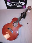 Ef261s An Takamine Acoustic Electric