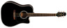 Ef341dx Takamine String Dreadnought Electric Acoustic Guitar With Case 799493268614