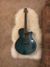 Ef391mb Takamine Band Teal Acoustic Electric Guitar Hardshell Case