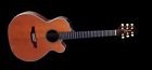 Eg140shc Takamine Acoustic Electric Guitar Sounds Amazing