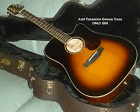 Eg350sc Takamine Acoustic Electric Guitar