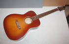 Eg5013s Takamine Guitar