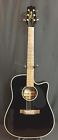 Eg531ssc Takamine Dreadnought Cutaway Acoustic-electric