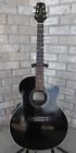 Eg541c Takamine Acoustic Electric Guitar Series Korea