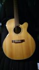 Eg5440st Takamine G Series Acoustic