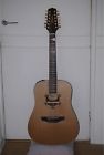 En10-12 Takamine 12 String Acoustic