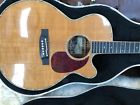 Env460sc Takamine Pro Series Acoustic Electric The Calling Alex Band Guitar
